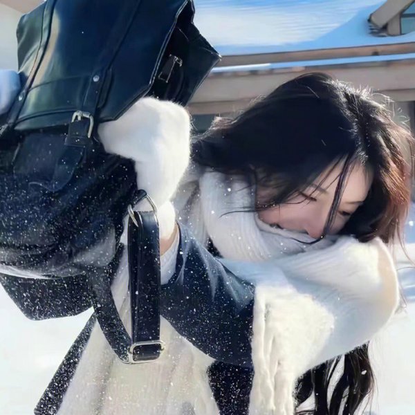 栩栩如昇 海报